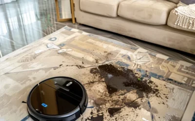 Common Rug Problems and How to Fix Them