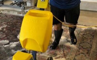 Signs It’s Time for Professional Rug Cleaning